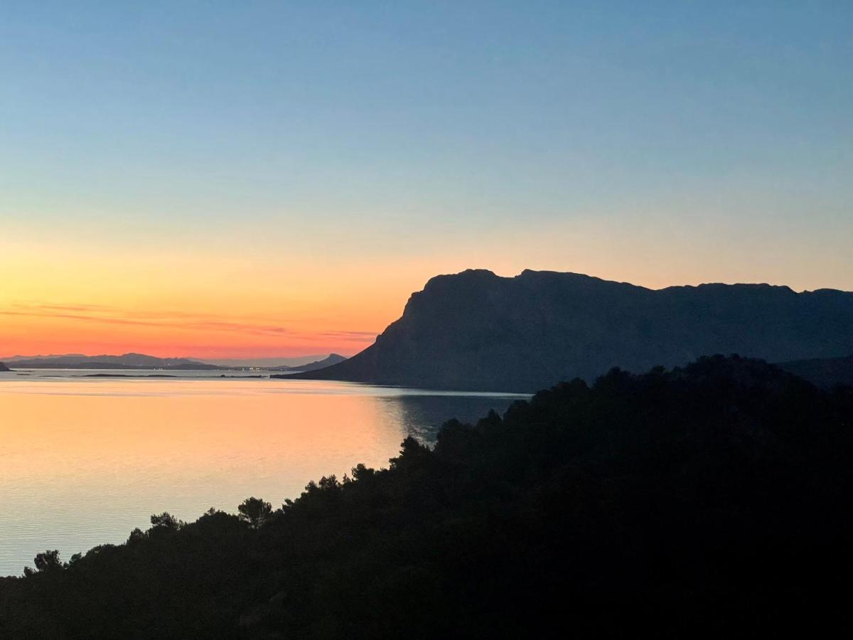 San Teodoro Punta Est Fantastico Trilocale Vista Mare Apartamento Capo Coda Cavallo Exterior foto
