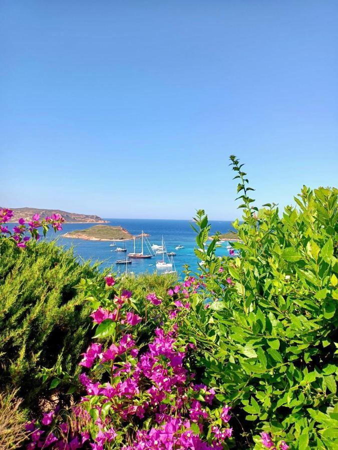 San Teodoro Punta Est Fantastico Trilocale Vista Mare Apartamento Capo Coda Cavallo Exterior foto